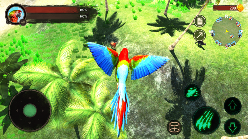 The Parrot