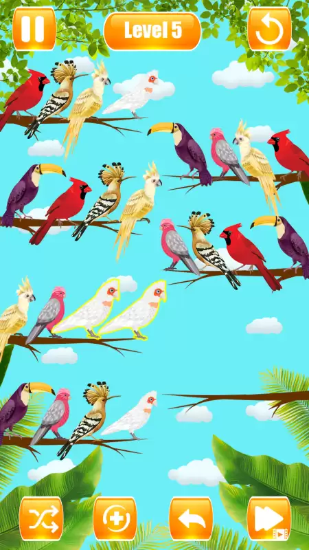 Bird Sort Color Puzzle Game