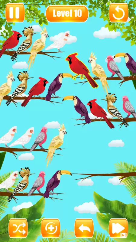 Bird Sort Color Puzzle Game