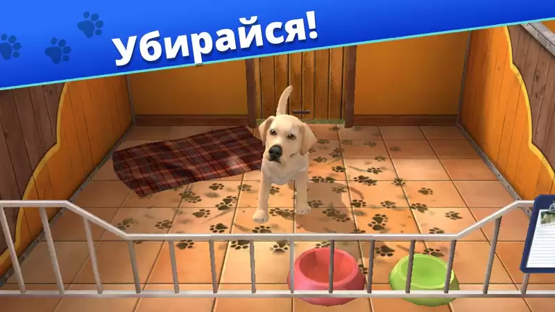 Pet World - приют для животных