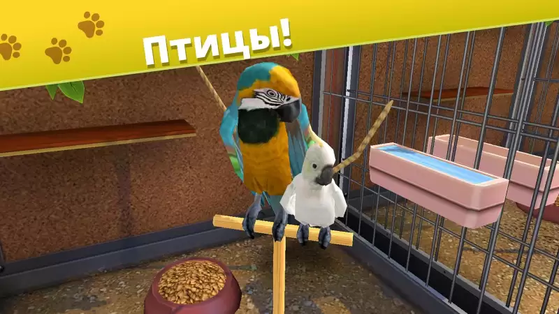 Pet World - приют для животных