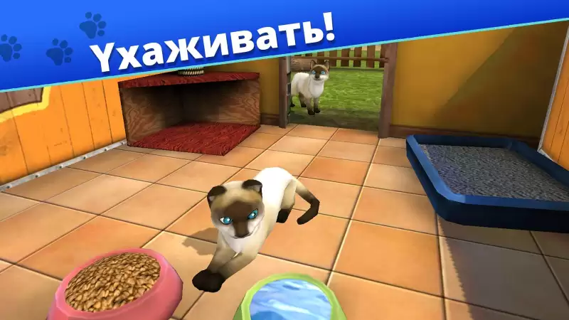 Pet World - приют для животных