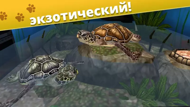 Pet World - приют для животных