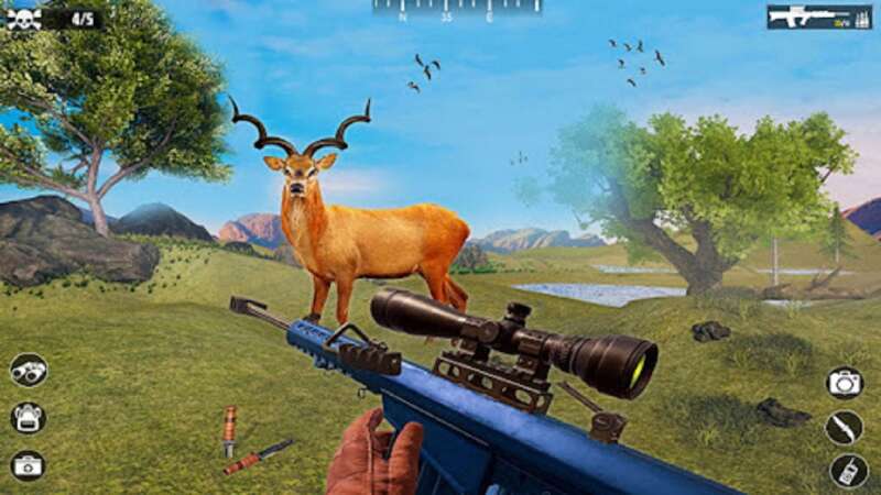 Jungle Deer Hunting: Gun Games