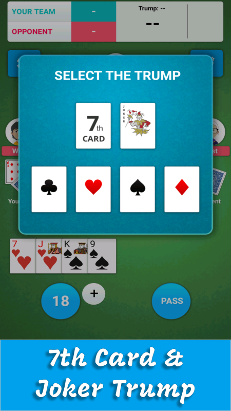 Card Game 29