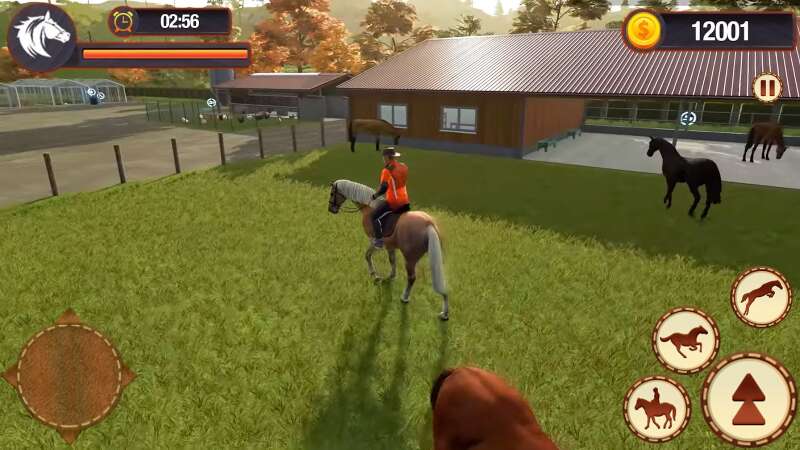 My Horse Herd Care Simulator